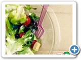 Anglo School salad hydroponics-01