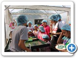 Anglo School salad hydroponics-03