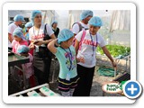 Anglo School salad hydroponics-06