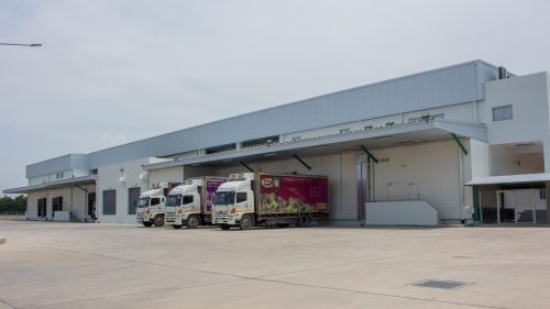 โรงงานผัก ฟาร์มผัก แปรรูปผัก