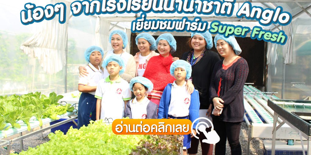 น้องๆ จากโรงเรียนนานาชาติ Anglo ได้มาเยี่ยมฟาร์มผักไฮโดรโปนิกส์