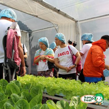 โรงเรียนนานาชาติ Alglo-01