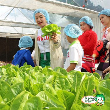 โรงเรียนนานาชาติ Alglo-03