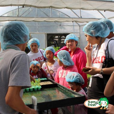 โรงเรียนนานาชาติ Alglo-07