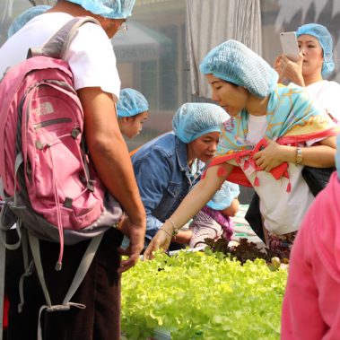 โรงเรียนนานาชาติ Alglo-08