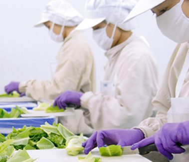 ผักผลไม้ตัดแต่ง-oem-fruit-slice-05