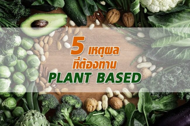 5 เหตุผลที่ต้องทาน PLANT BASED