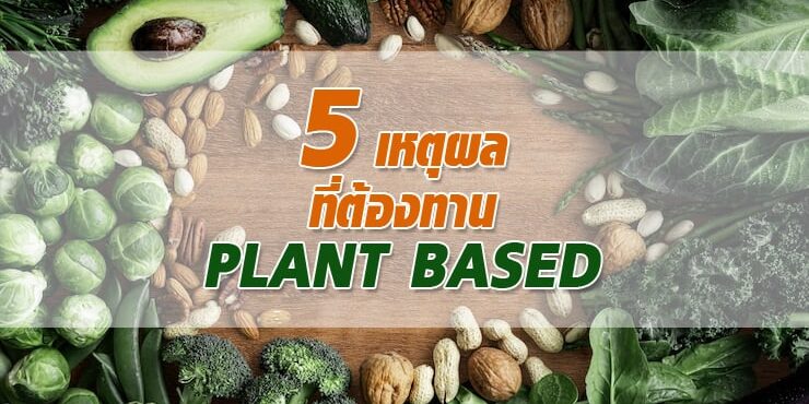 5เหตุผลที่ต้องทาน PLANT BASED 5 เหตุผลที่ต้องทาน PLANT BASED