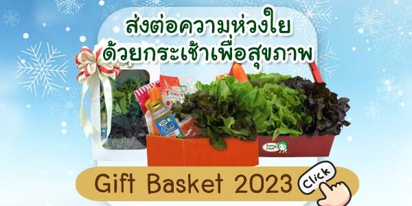 กระเช้าปีใหม่ 2566 กระเช้าสุขภาพปีใหม่ 2023 กระเช้าสุขภาพ กระเช้าของขวัญ ของขวัญปีใหม่ / ของขวัญสุขภาพ กระเช้าเยี่ยมไข้
