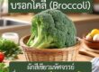 บรอกโคลี (Broccoli) ผักสีเขียวมหัศจรรย์ ที่สายสุขภาพ “ไม่ควรมองข้าม”