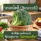 บรอกโคลี (Broccoli) ผักสีเขียวมหัศจรรย์ ที่สายสุขภาพ “ไม่ควรมองข้าม”