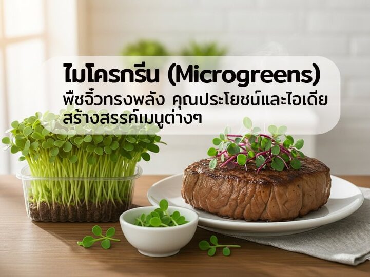 ไมโครกรีน ประโยชน์ไมโครกรีน เมนูไมโครกรีน microgreen